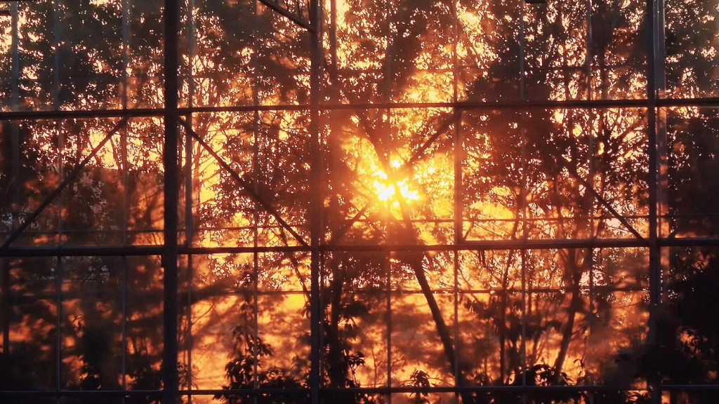 [图]后陡门里有什么？来欣赏欣赏后陡门的风景