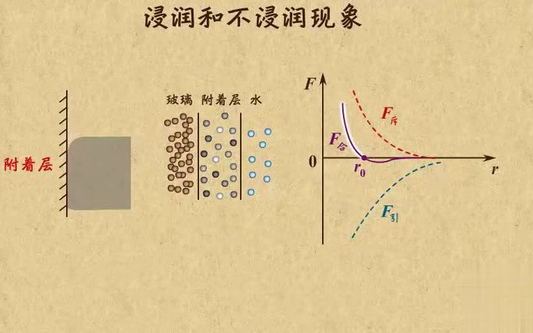 [图]高中物理| 高中物理动画第27章 固体液体和物态变化|05浸润与不浸润现象的实质