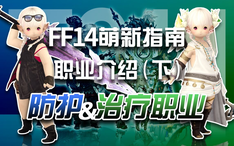 Ff14萌新指南 萌新向全职业介绍 上 输出职业 Dps 篇 哔哩哔哩 Bilibili