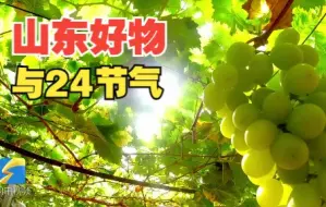 Download Video: 好品山东丨循环播放中！快来感受藏在24节气里的山东之美