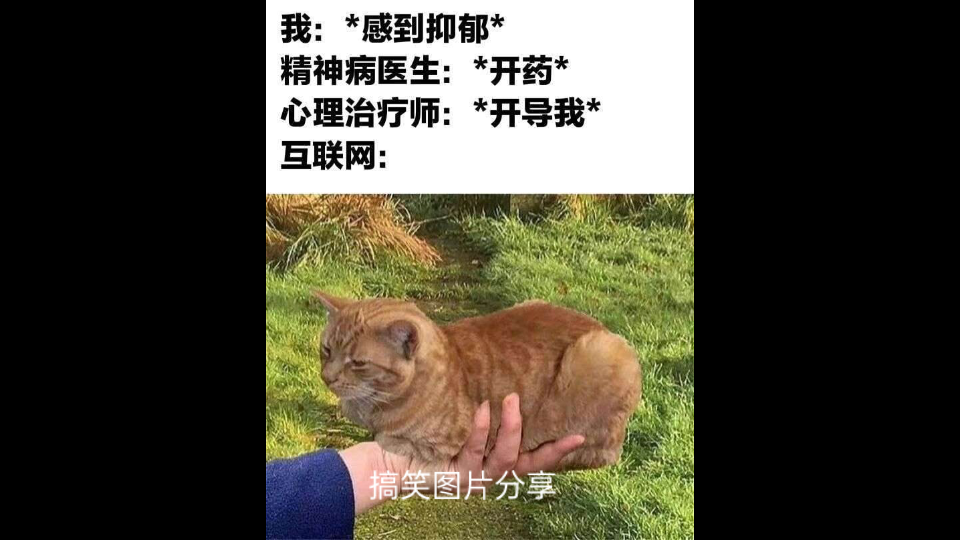 搞笑图片分享,要天天开心呀.哔哩哔哩bilibili