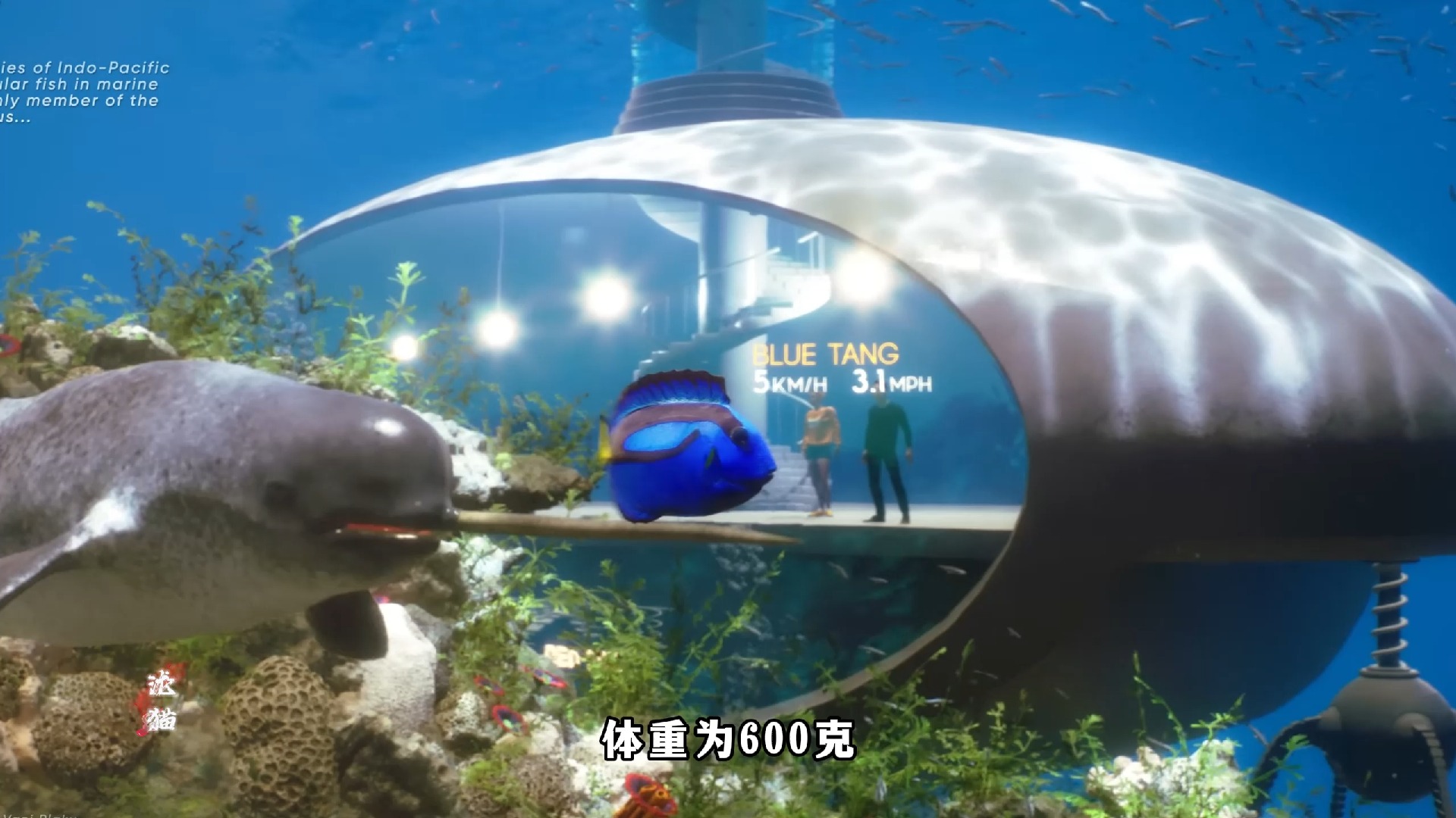 《所有海洋生物速度比拼》