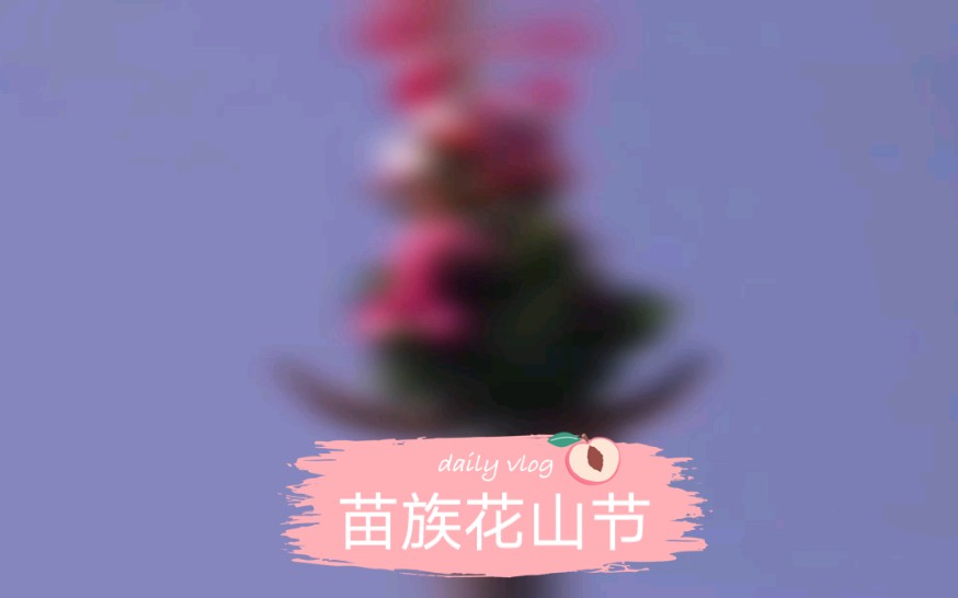 苗族花山节,来感受苗族同胞的特色节日吧!哔哩哔哩bilibili