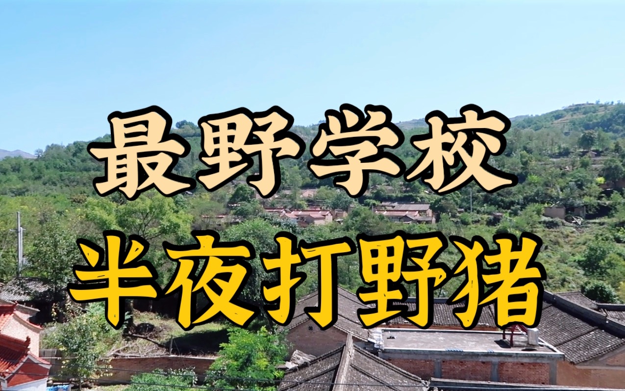 你见过半夜打野猪的学校吗?真实的野猪,天黑就开打,笑死哔哩哔哩bilibili