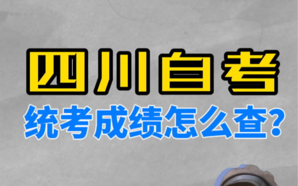 四川自考统考成绩怎么查?在哪里查统考成绩?哔哩哔哩bilibili