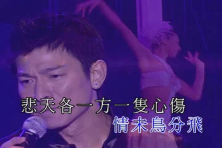 刘德华:2002你是我的骄傲演唱会(2)