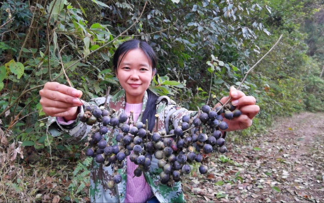 [图]这种野果你们吃过吗？多亏松鼠口下留情，香香摘了一袋回家做豆腐