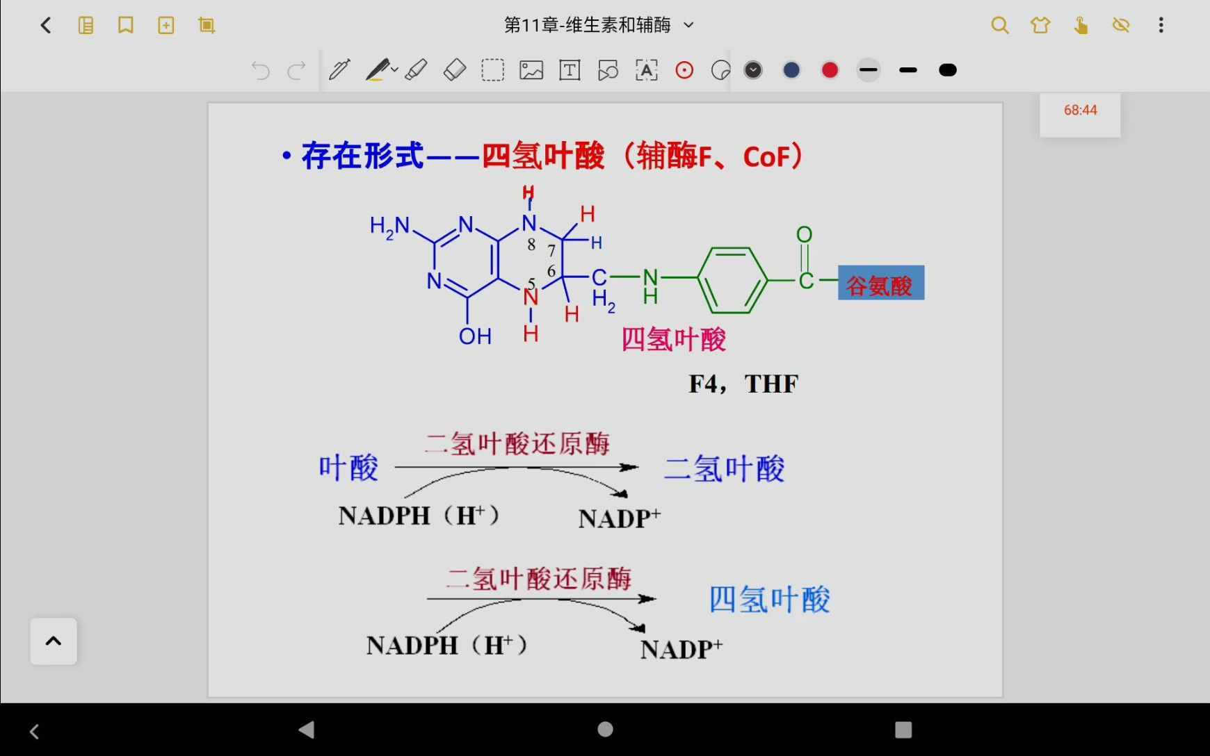 10.20生物化学(1):维生素和辅酶哔哩哔哩bilibili