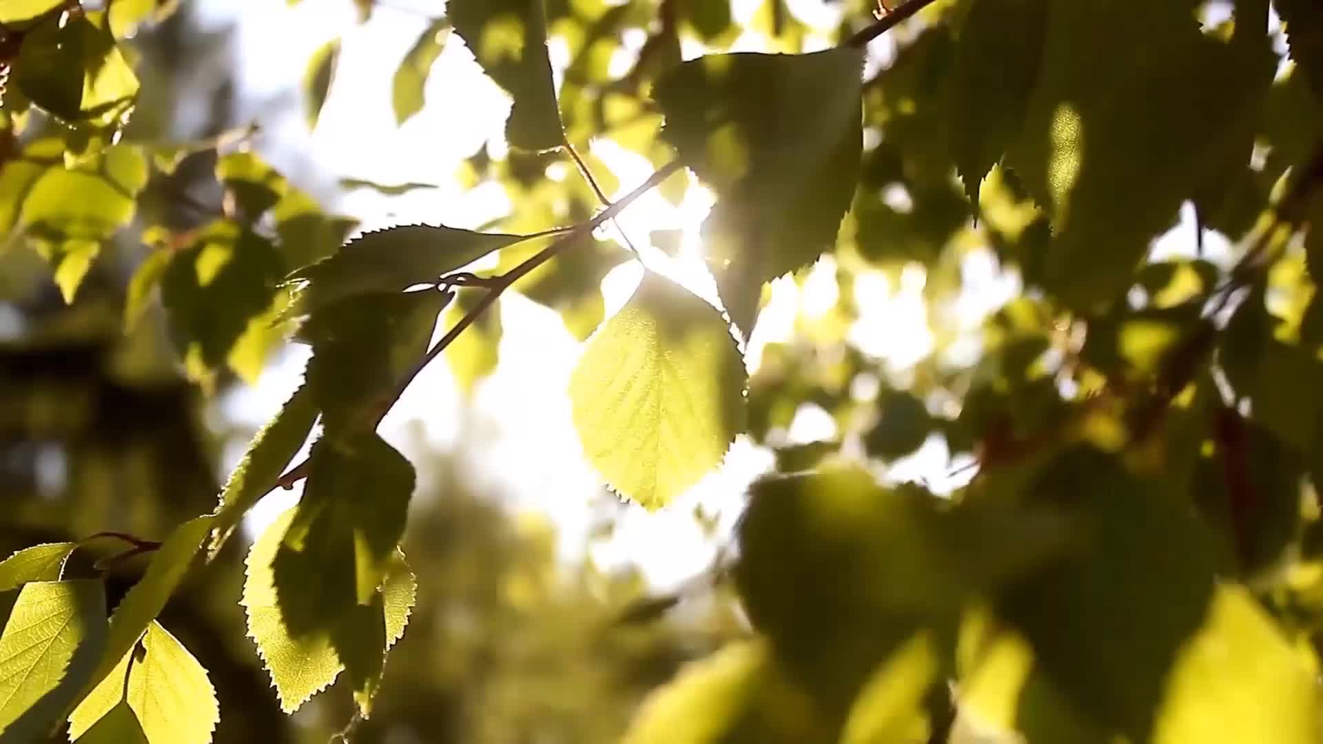 [图]吴春海《今生的爱 来生的缘》mv饭制版