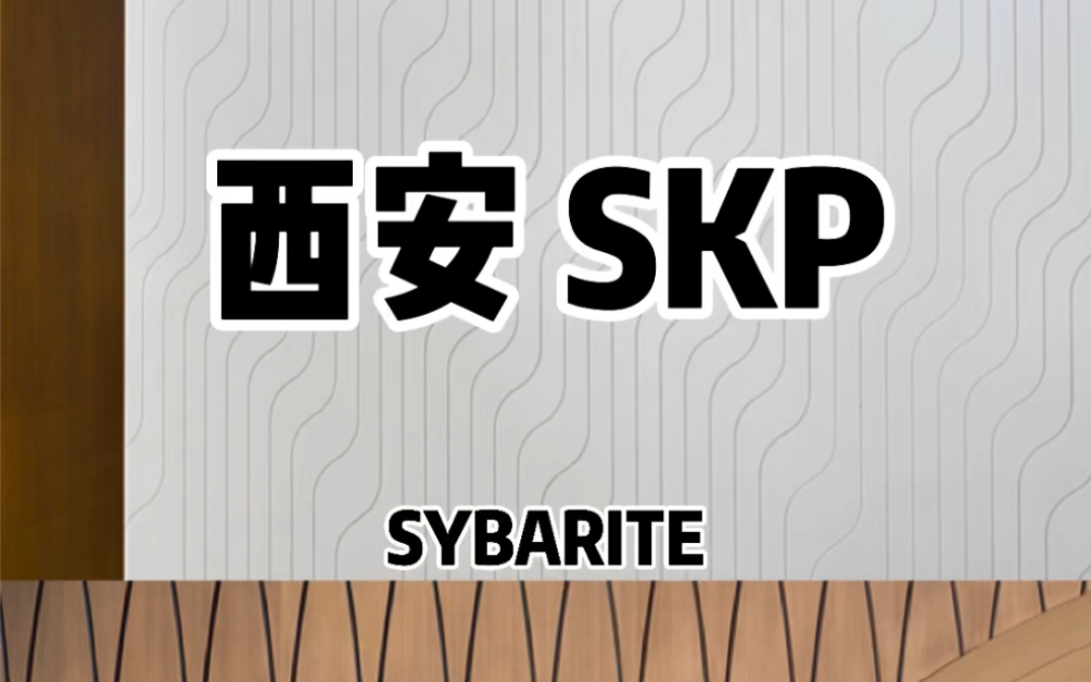 国内顶奢的商业代表:SKP哔哩哔哩bilibili