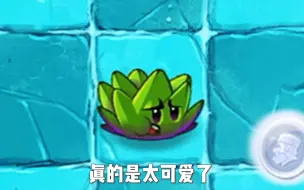 Download Video: 盘点pvz中那些有睡觉状态的植物