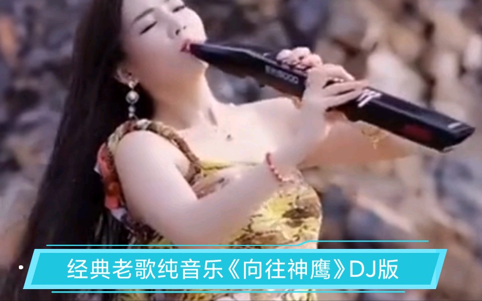 [图]经典老歌纯音乐《向往神鹰》DJ版，旋律优美动听