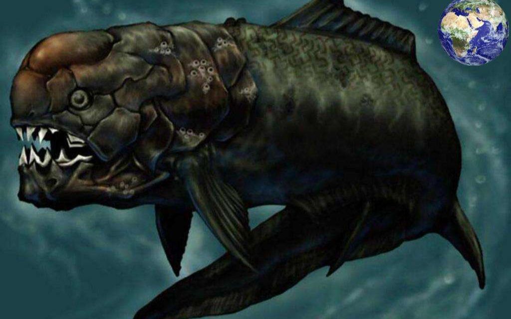 邓氏鱼,地球上第一位霸主有个坑爹的小毛病【怪兽热线】_哔哩哔哩