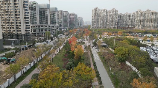 皂河生态公园
