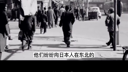 究竟什么是河豚计划?无不良导向# 二战历史 # 河豚计划 # 二战日本哔哩哔哩bilibili