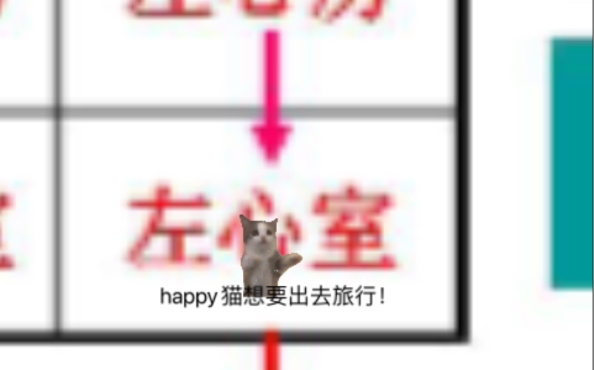 [图]【初一生物】happy猫教你学习血液循环！