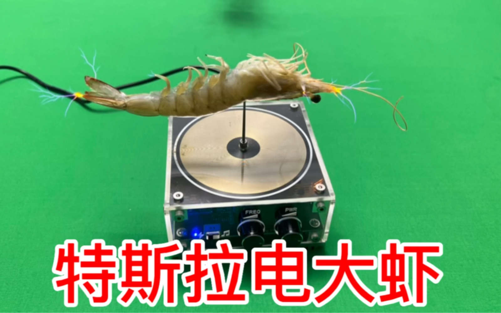 据说把大虾插在特斯拉电圈上就能变成特斯拉音乐电虾?这是真的吗