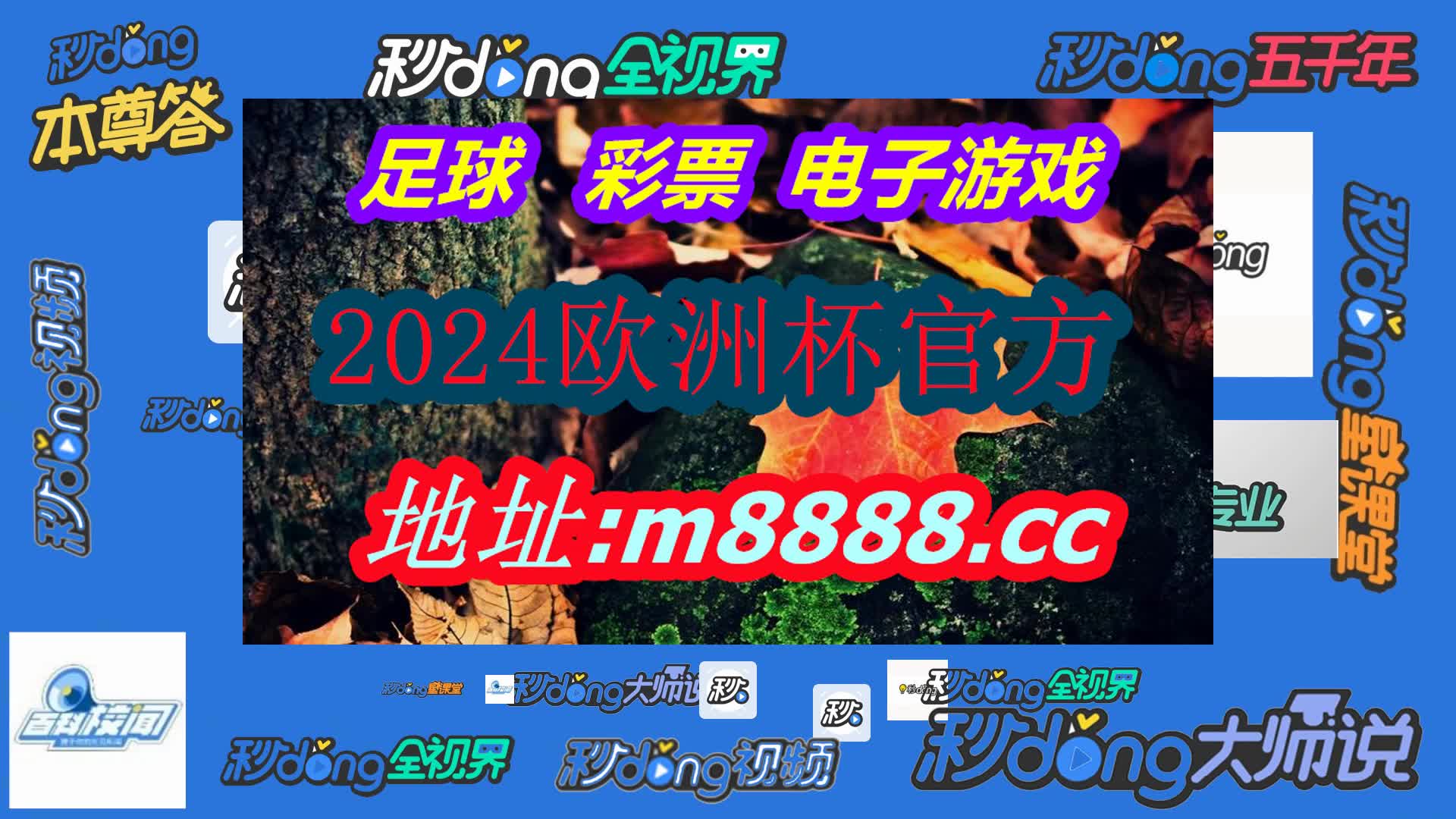 2024年白小姐开奖结果(哔哩哔哩)075期