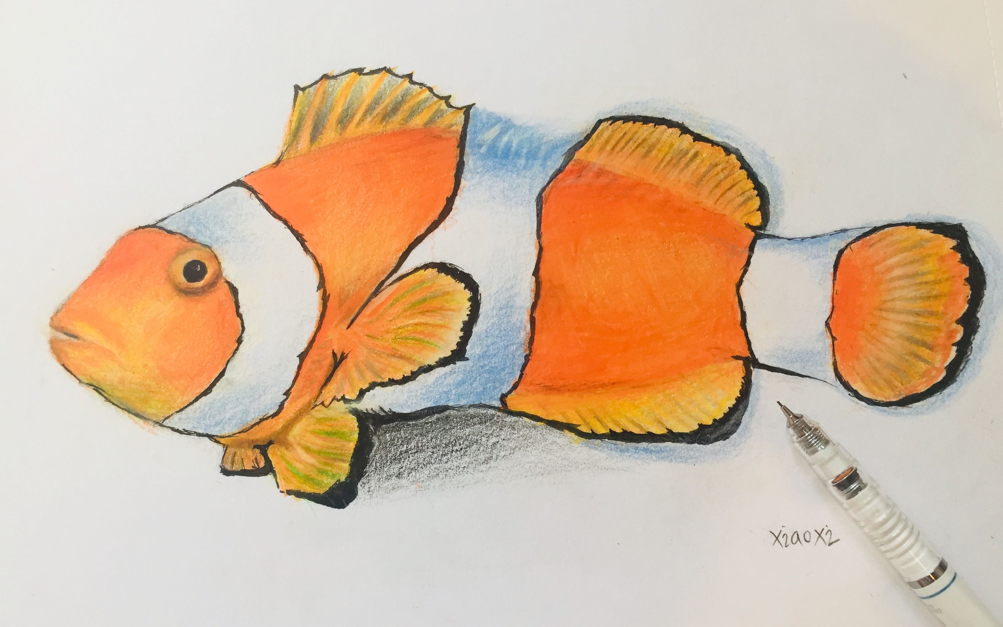 小晰xiaoxi/小晰绘画 可爱的小丑鱼彩色铅笔写实绘画第一期