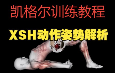 每次XSH动作对吗?看看如何正确掌握动作精华哔哩哔哩bilibili