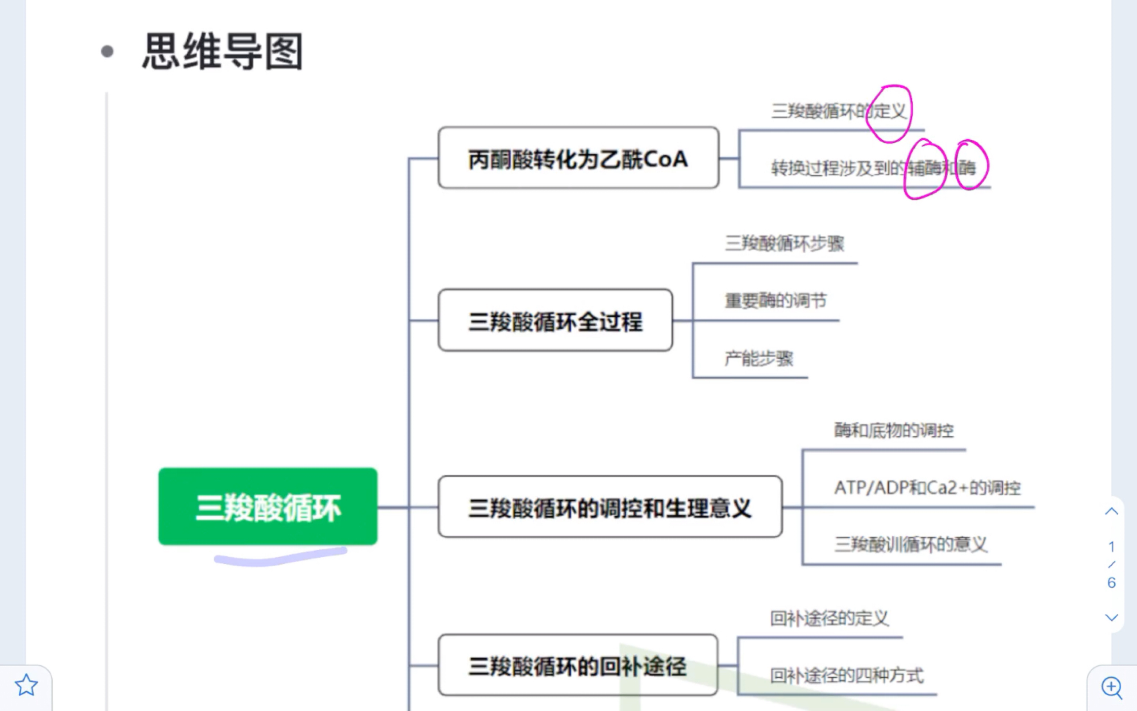 TCA循环1丙酮酸转化为乙酰辅酶A哔哩哔哩bilibili