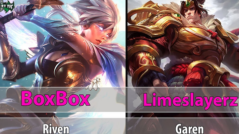 Boxbox - RIVEN BOXBOX SKIN 