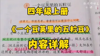 四年级上册：《一个豆荚里的五粒豆》内容详解，在童话中学习提问！