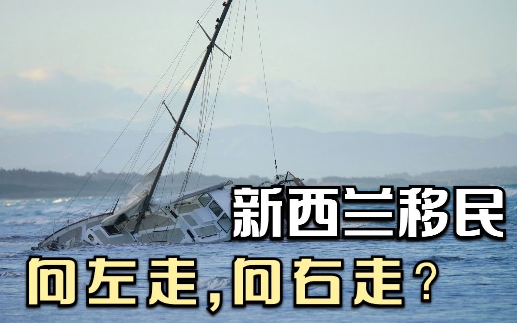 新年移民政策如何变(1)——回顾一下20年的移民历史,看有哪些规律?哔哩哔哩bilibili