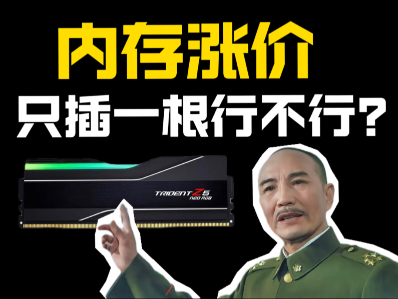 内存涨价高的离谱,预算有限只插一根行不行?