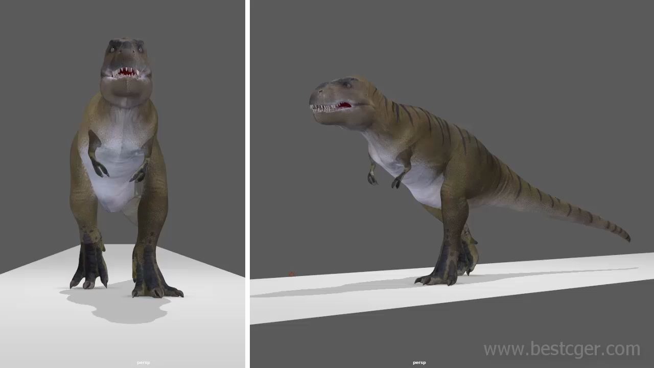 生物类动画制作行走的trex霸王龙