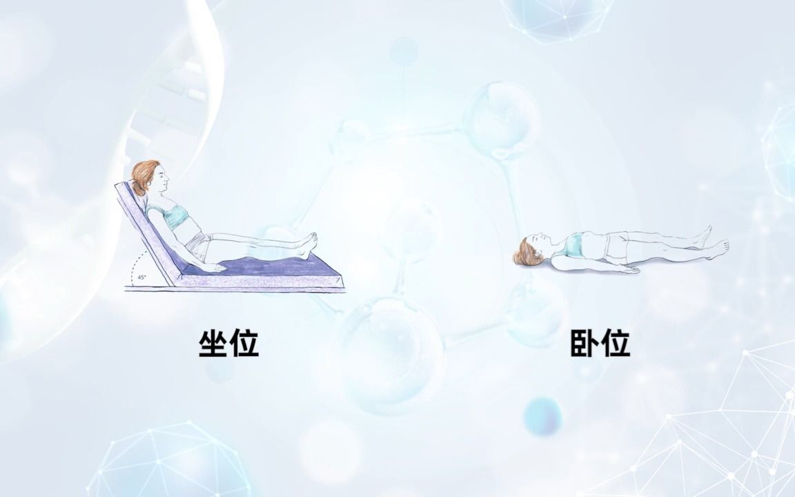 [7.2.1]7.2心脏叩诊哔哩哔哩bilibili