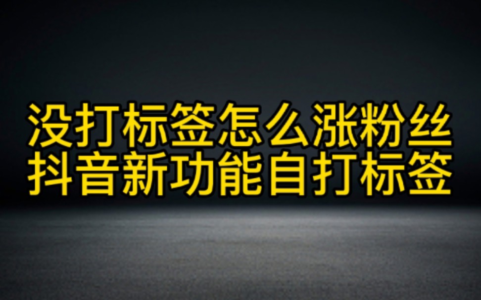 抖音账号没有标签不涨粉怎么办,分享一个抖音新功能自打标签的方法,新手小白也能快速涨粉变现哔哩哔哩bilibili