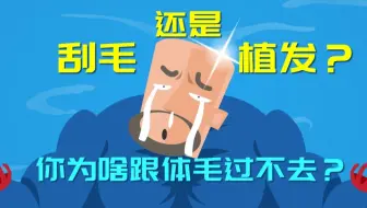 刮毛还是植发？你为啥跟体毛过不去？