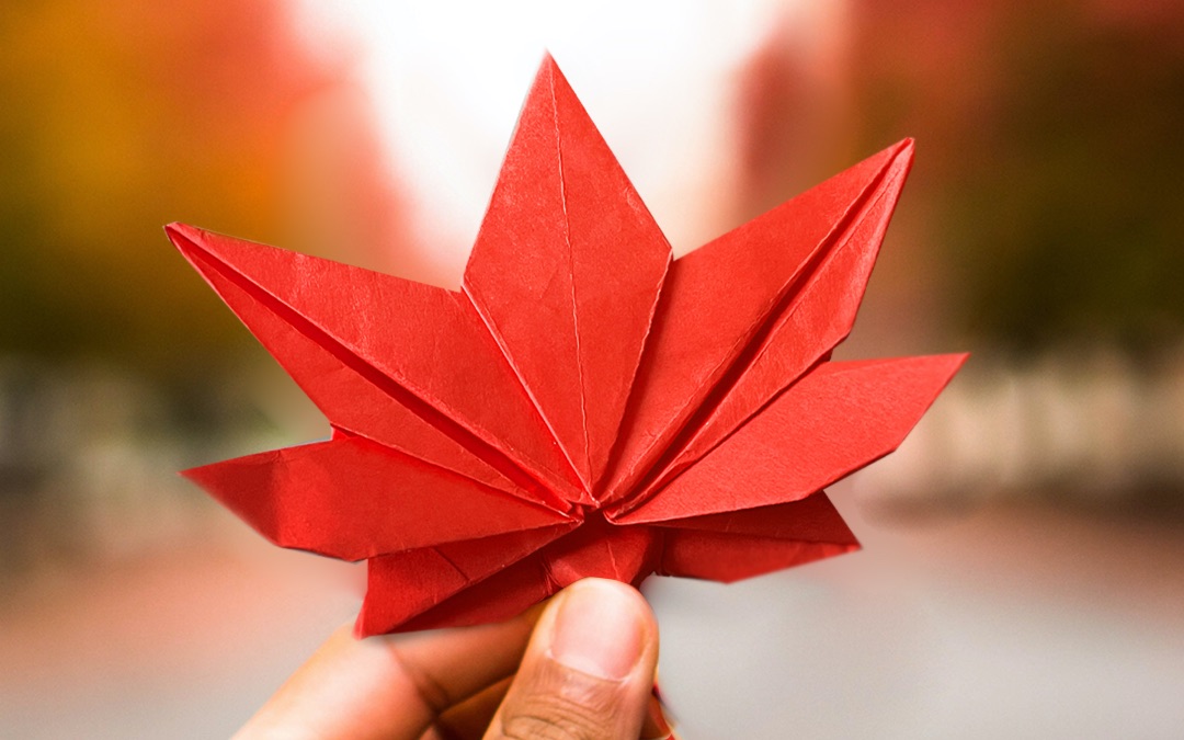 【折纸教程枫叶】𐟍Origami Japanese Maple Leaf #042哔哩哔哩bilibili