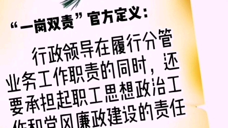 《秒懂》国有企业基层组织工作条例解读之“一岗双责”哔哩哔哩bilibili