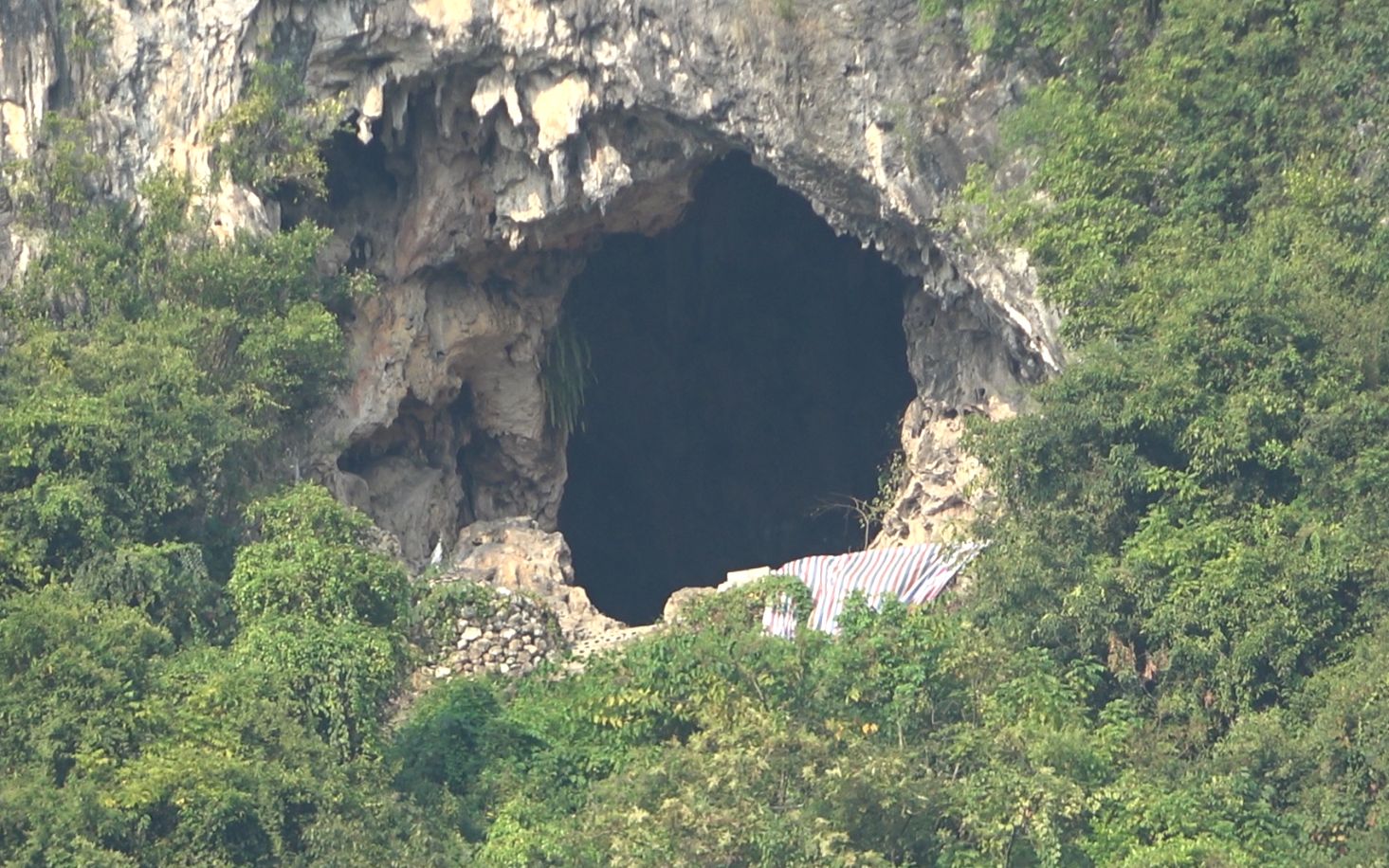 半山腰发现神秘山洞,小伙好奇走近一看究竟,洞口一幕却看傻眼了