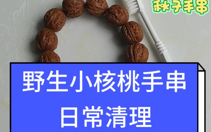 野生小核桃手串的日常清理哔哩哔哩bilibili