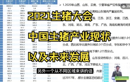 2021生猪产业现状以及未来发展农业农村部国际畜产品首席专家朱增勇哔哩哔哩bilibili