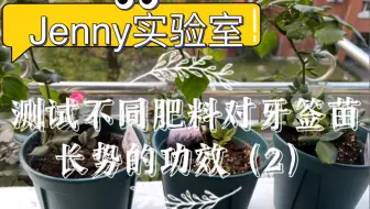 花多多肥料有没有毒 意外发现花多多肥水里居然能养鱼 哔哩哔哩 Bilibili 花多多肥料有没有毒 意外发现花多多肥水里居然能养鱼 哔哩哔哩 Bilibili