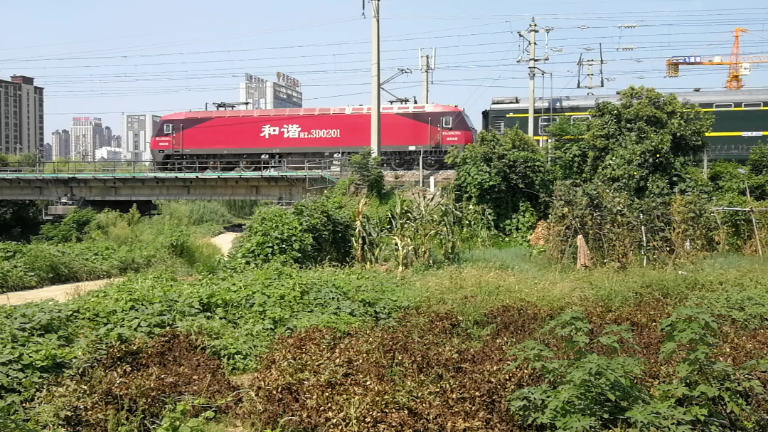 z187 沈阳北——深圳_哔哩哔哩 (゜-゜)つロ 干杯~-bilibili