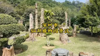 Download Video: 广东深圳:仙湖植物园，国家4A级景区。