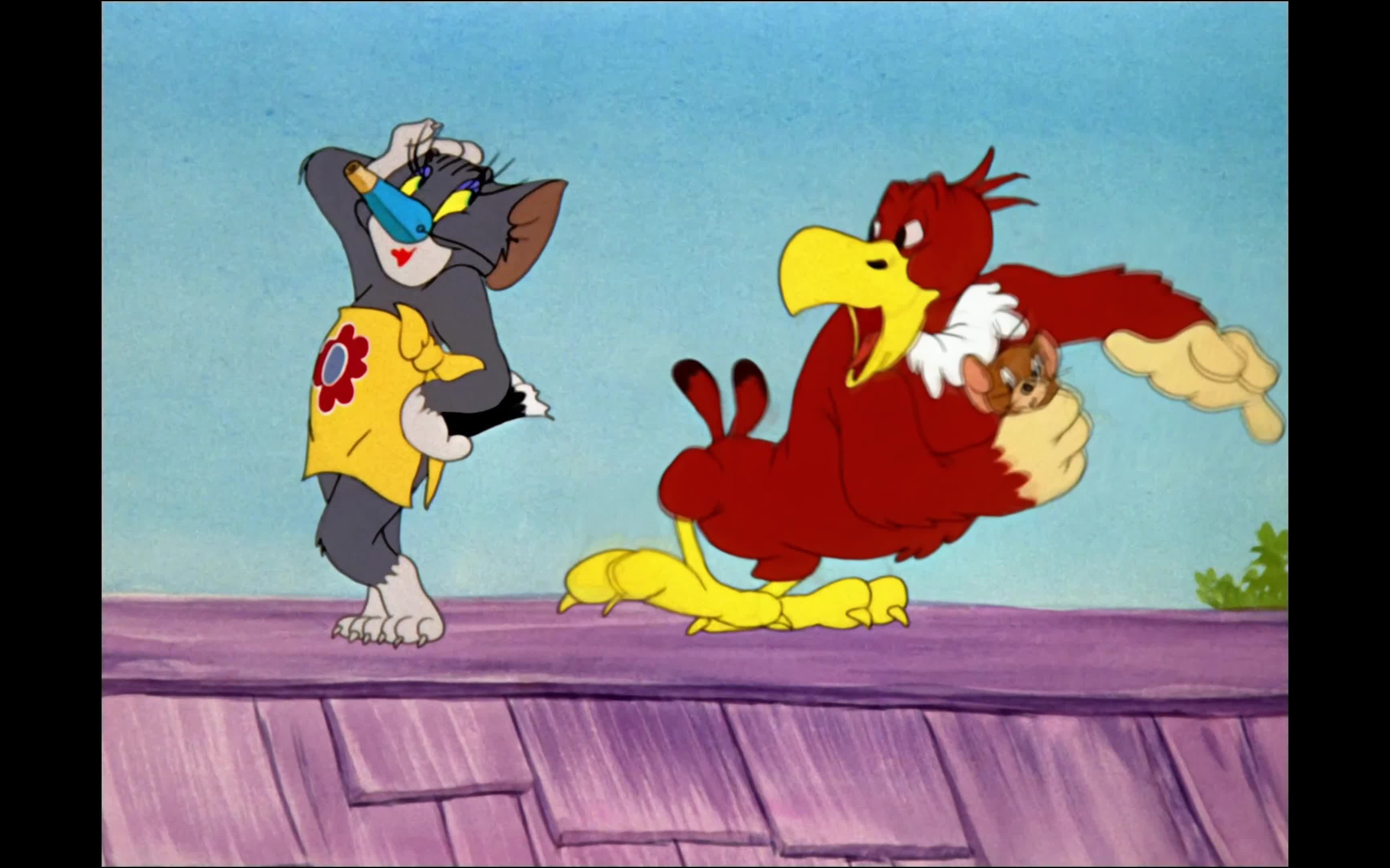 猫和老鼠 flirty birdy 秃鹰变奏曲