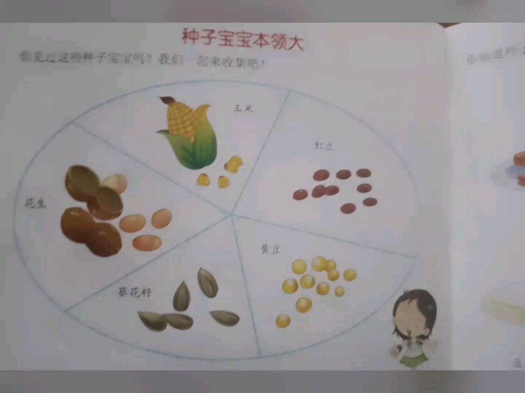 [图]科学活动（种子旅行）