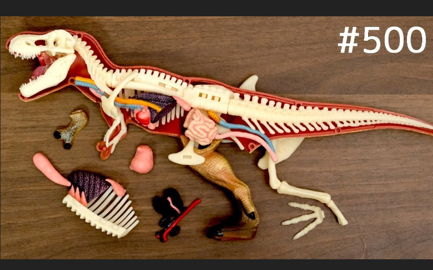 日本杂物霸王龙剑龙解剖模型恐龙拼图