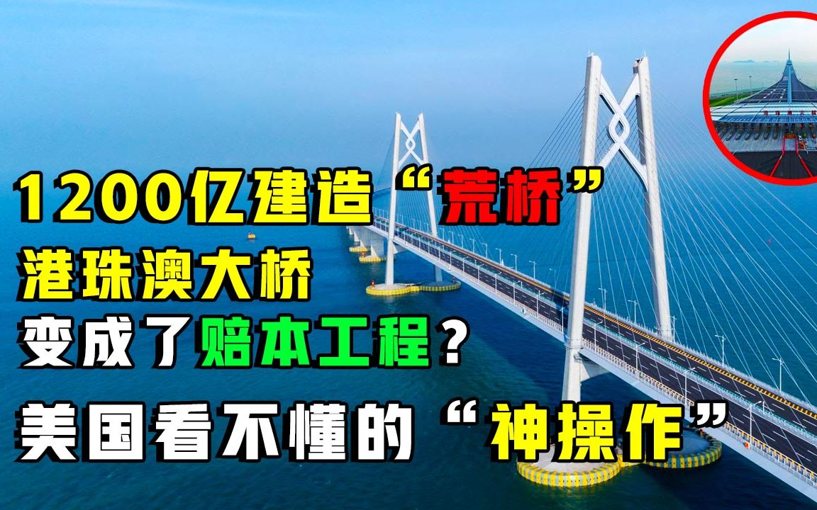 美国专家不解:中国耗费几千亿,却建了一座“没人通行”的桥梁?哔哩哔哩bilibili