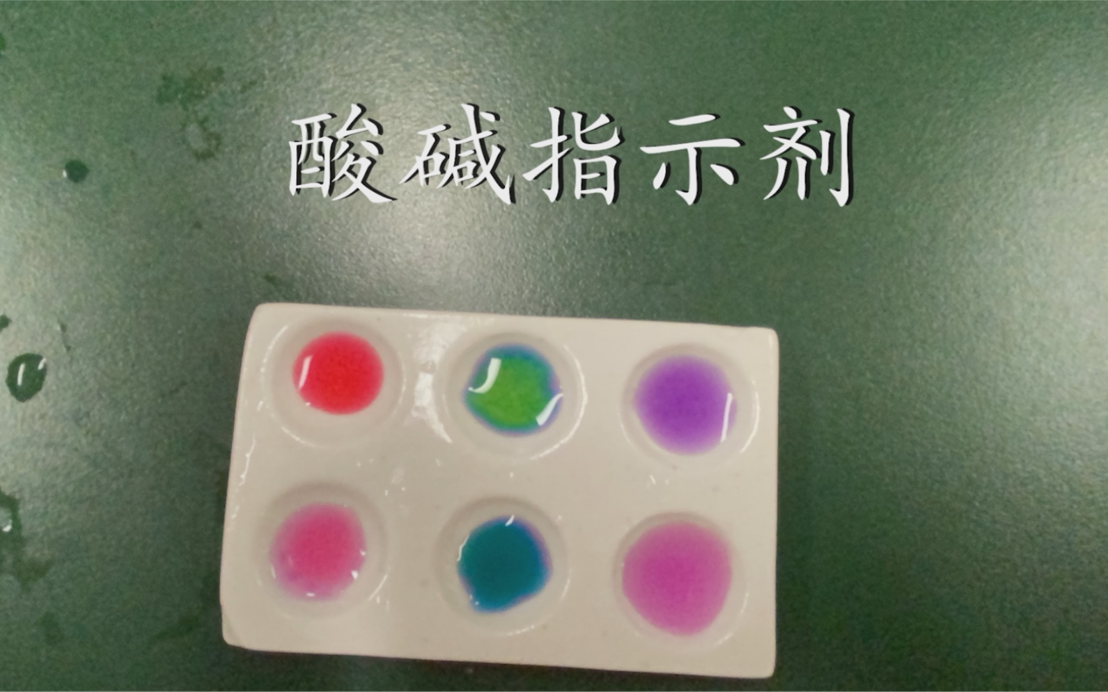 天然酸碱指示剂北京八中校本选修化学实验