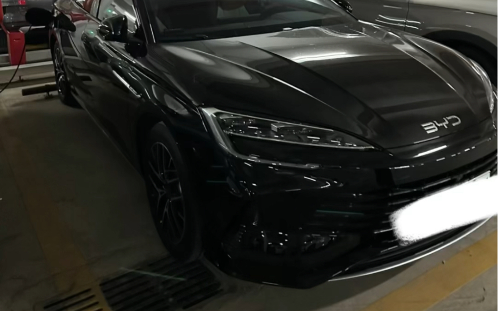 黑色海豹dmi 第一次见