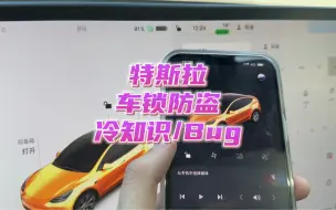 Download Video: 你以为你把你的特斯拉锁上了？其实并没有