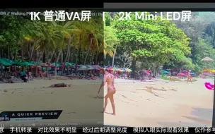 Download Video: 普通VA屏对比Mini LED屏