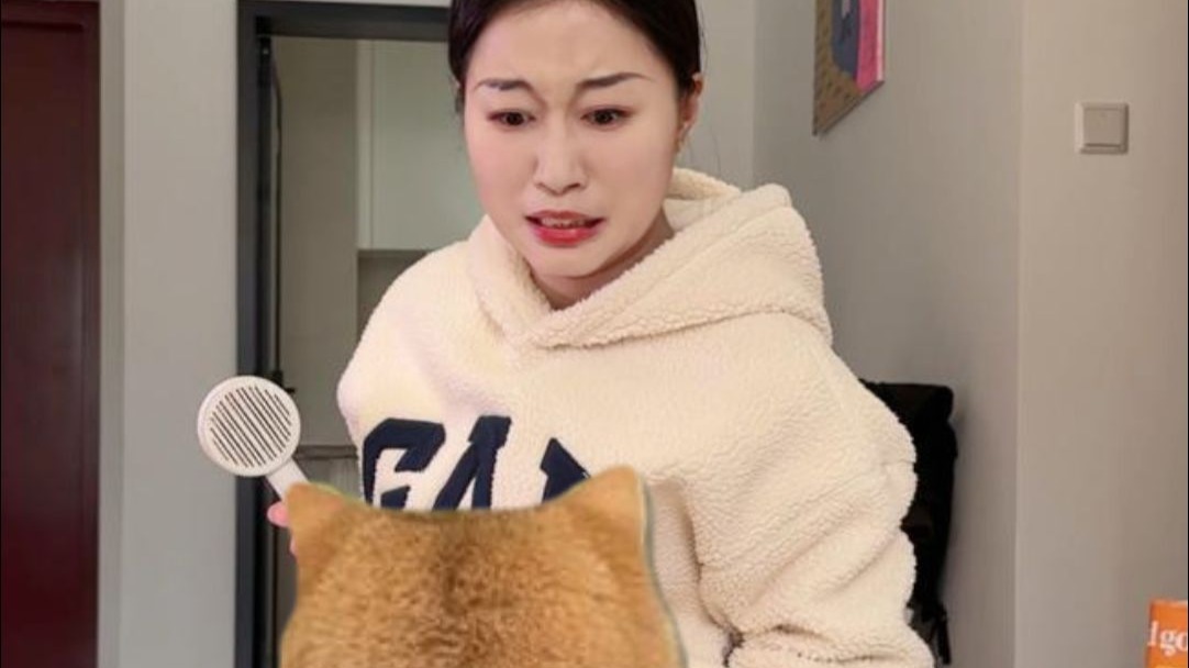 偷偷告诉你别不信，猫咪性格真的是随主人的